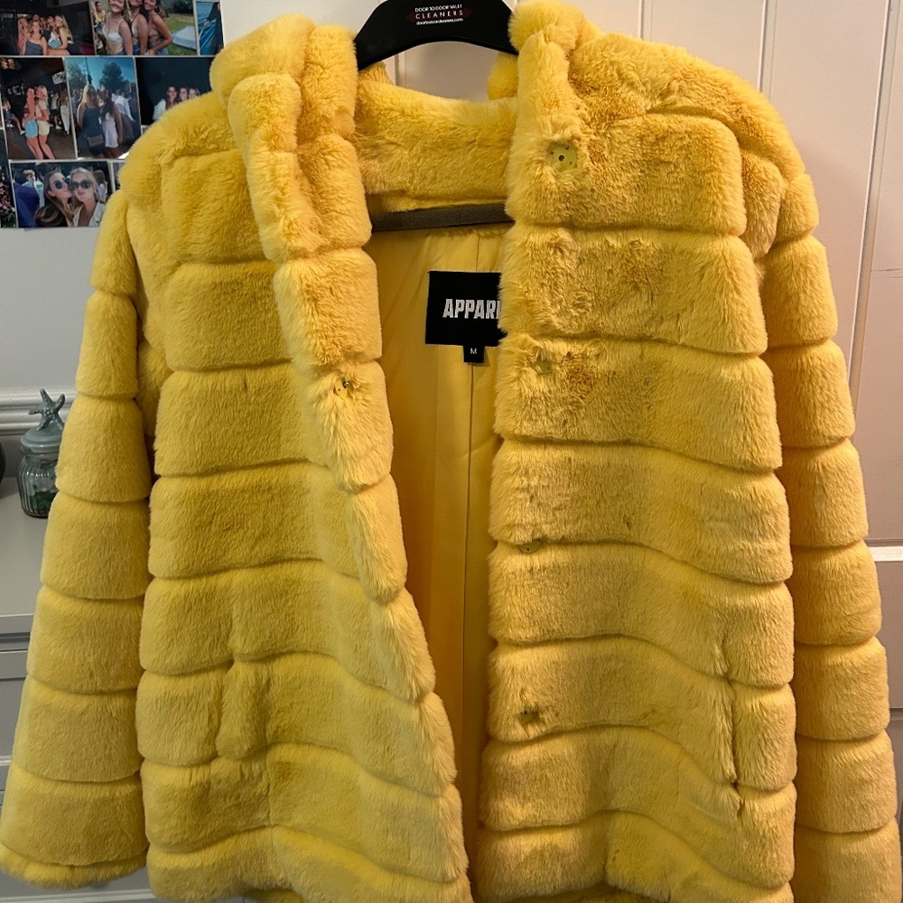 Apparis Medium  Goldy Coat